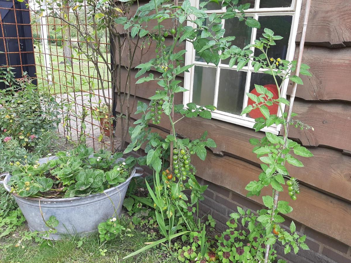 Bed and Breakfast Bruiler Hof Ruurlo Exterior foto